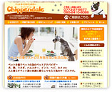 �`�b�y���f�[�� �l